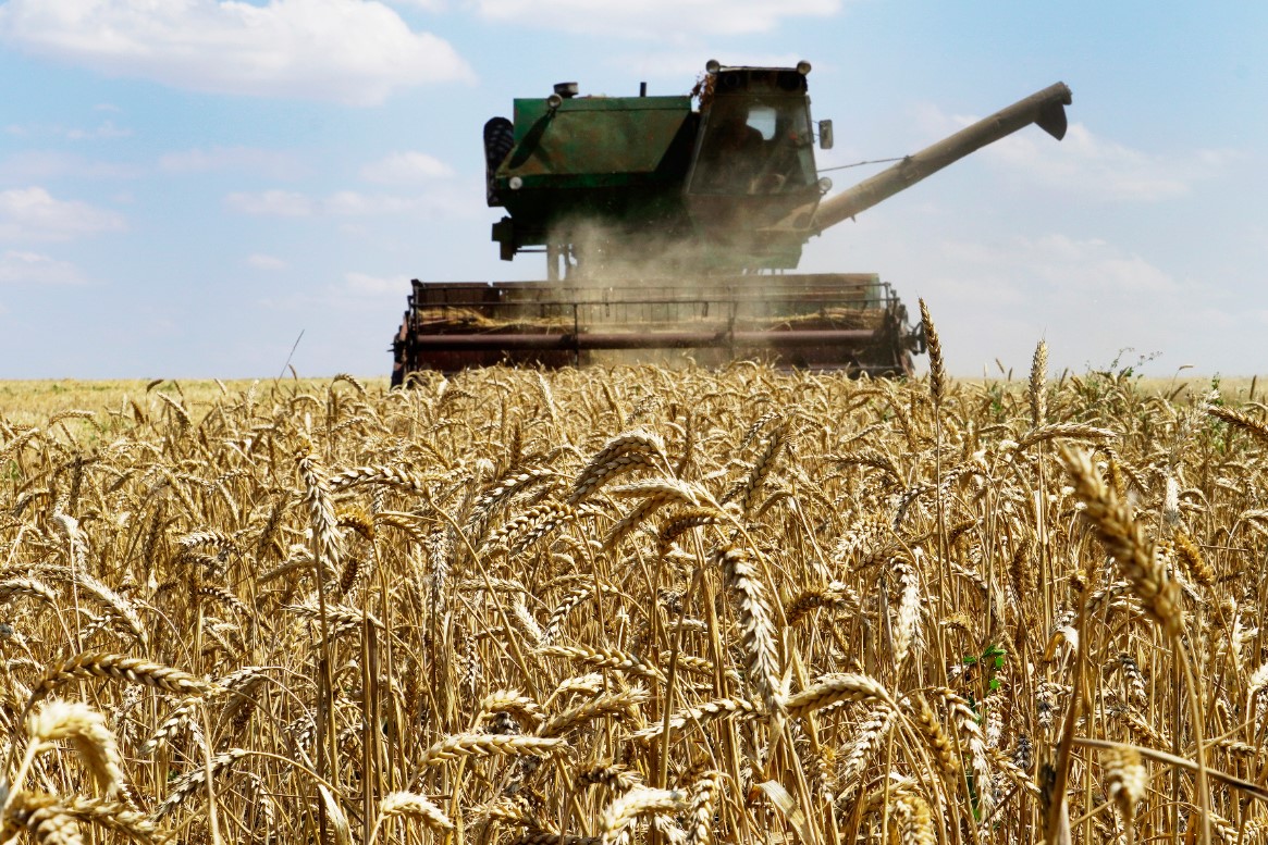 Стоимость пшеницы растет.