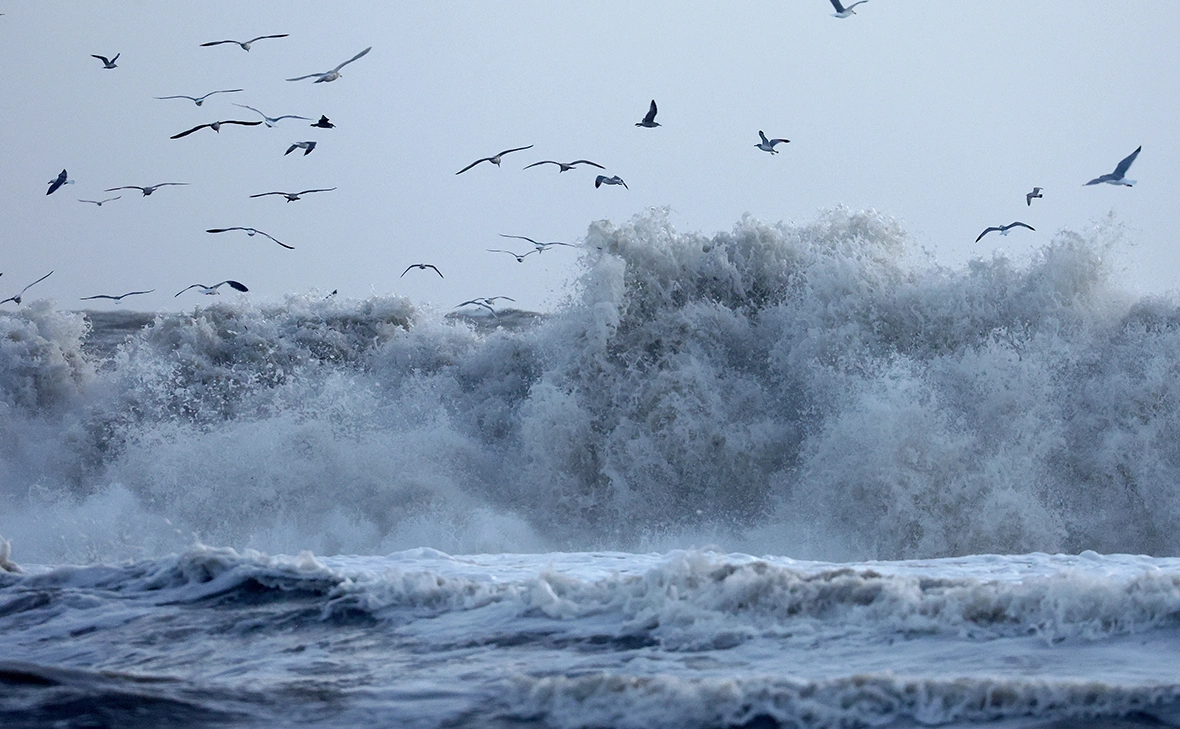 Mario Tama / Getty Images