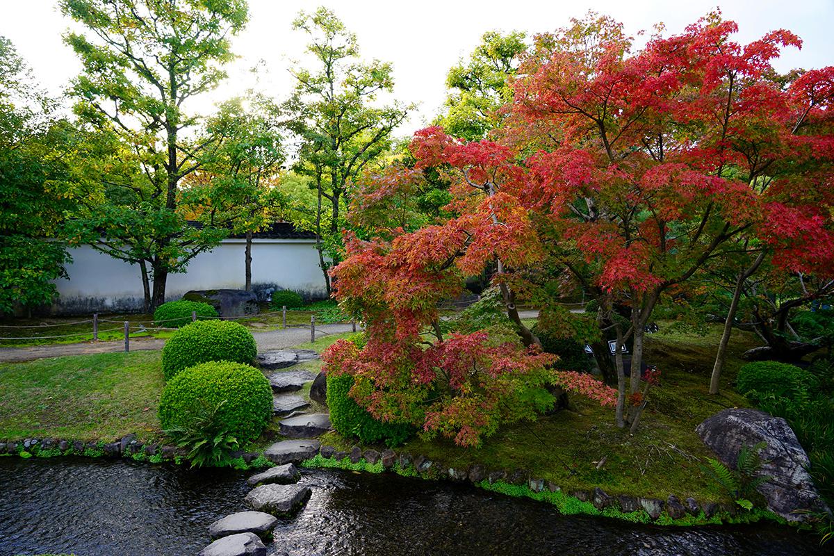 Фото: Roscoe Chui / Shutterstock / FOTODOM