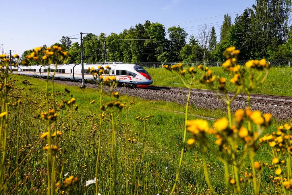 Фото: Октябрьская железная дорога