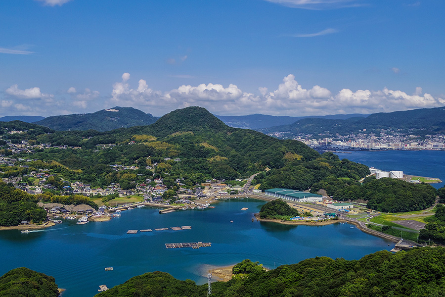 Фото: bryant_24 / Shutterstock