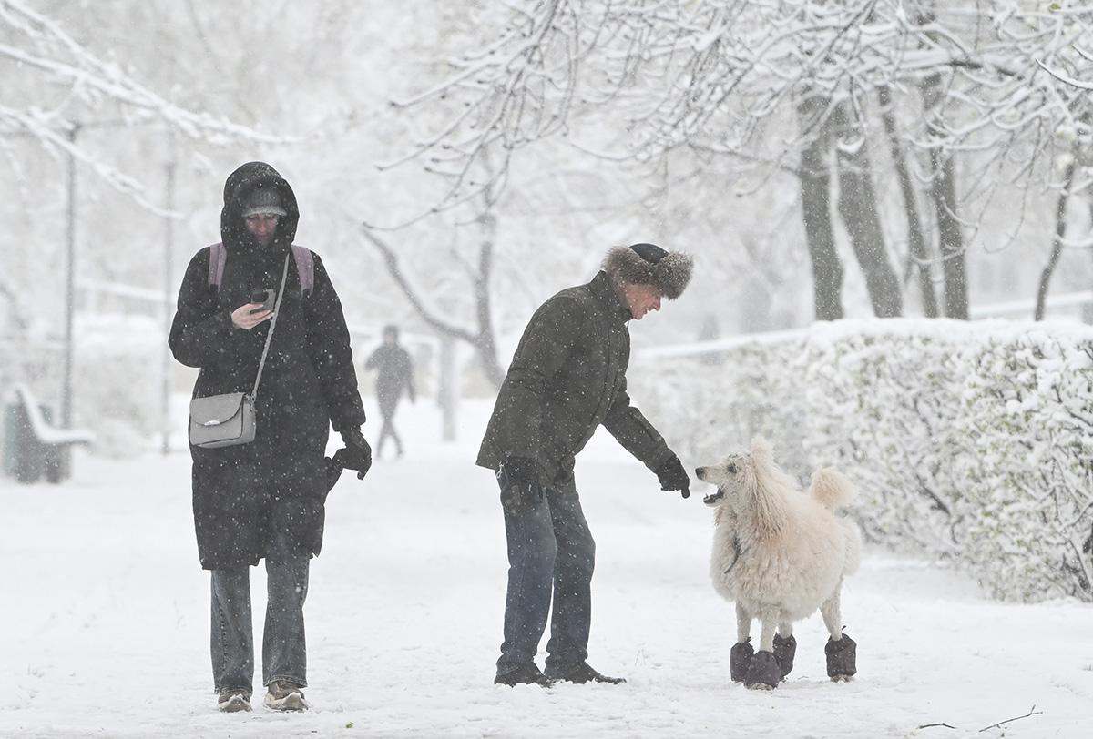 Снегопад в Москве, 27 апреля 2026 года