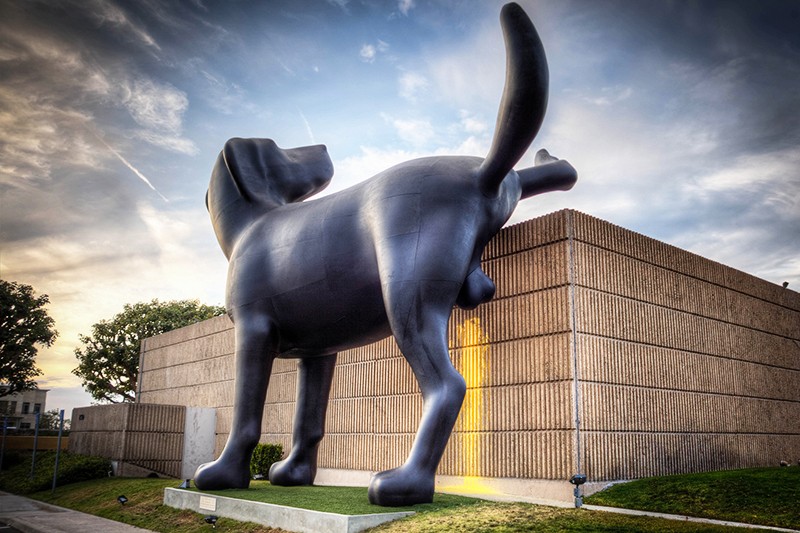 Bad Dog ("Плохая собака")Скульптура установлена возле Orange Country Museum of Art в Ньюпорт-Биче (штат Калифорния, США). В стенах музея проходила персональная выставка Ричарда Джексона, которая называется Ain't Painting a Pain. На время выставки была установлена его скульптура у стен музея: огромный черный щенок лабрадора более 8 м в высоту пристроился к одной из стен, чтобы справить нужду. 