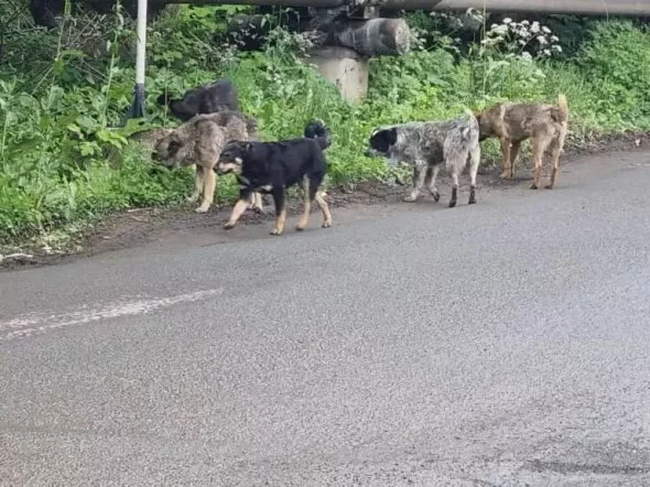 РБК Приморье