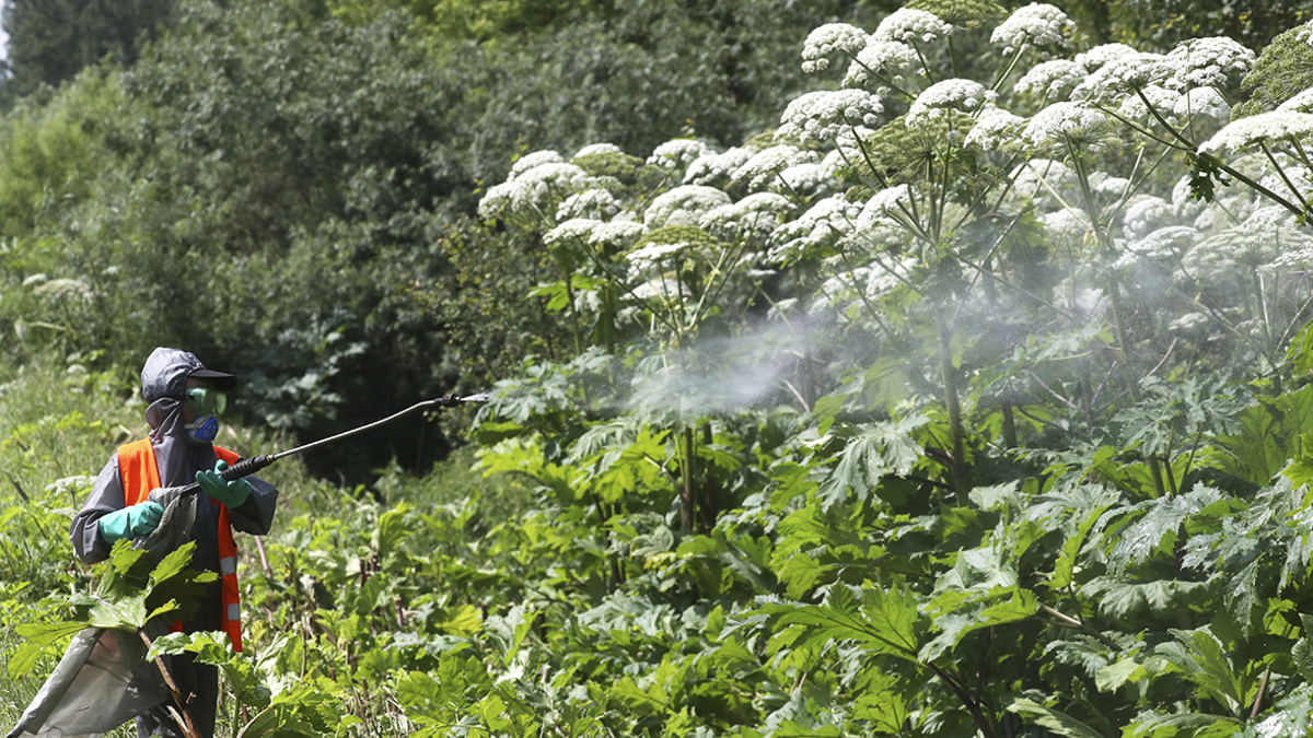 Фото: Сергей Савостьянов / ТАСС