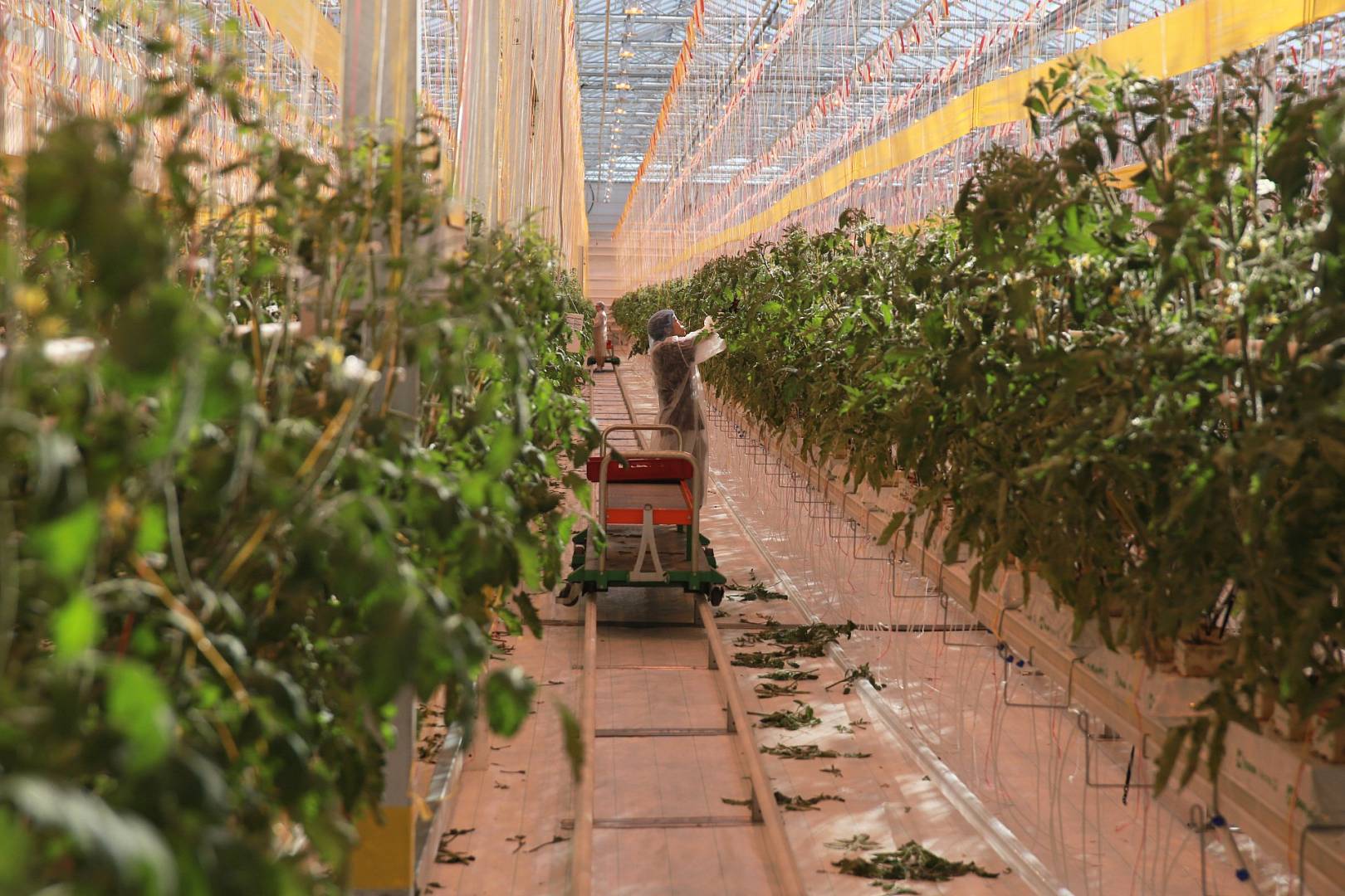 Фото: Законодательное собрание Камчатского края