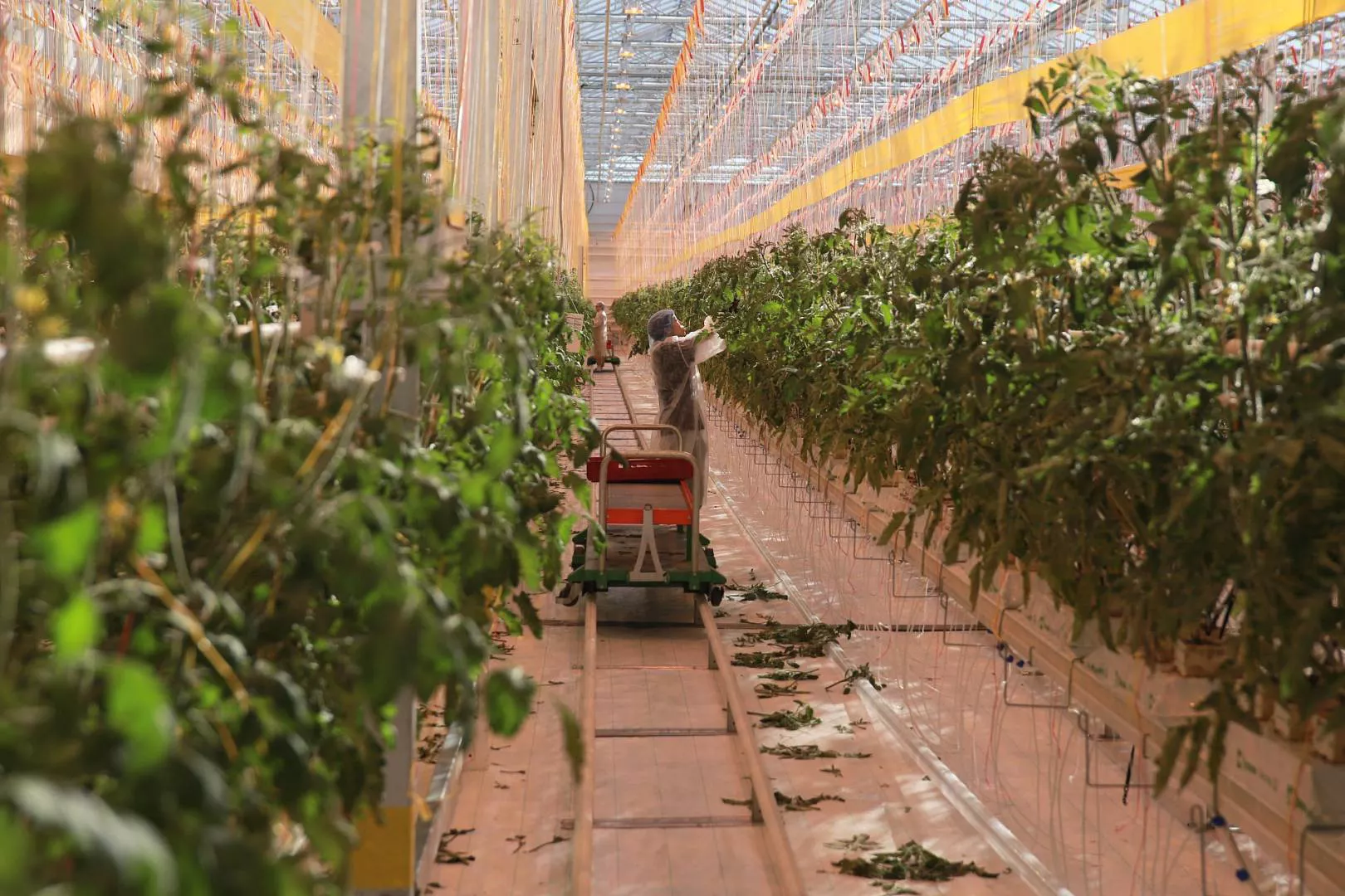 Законодательное собрание Камчатского края