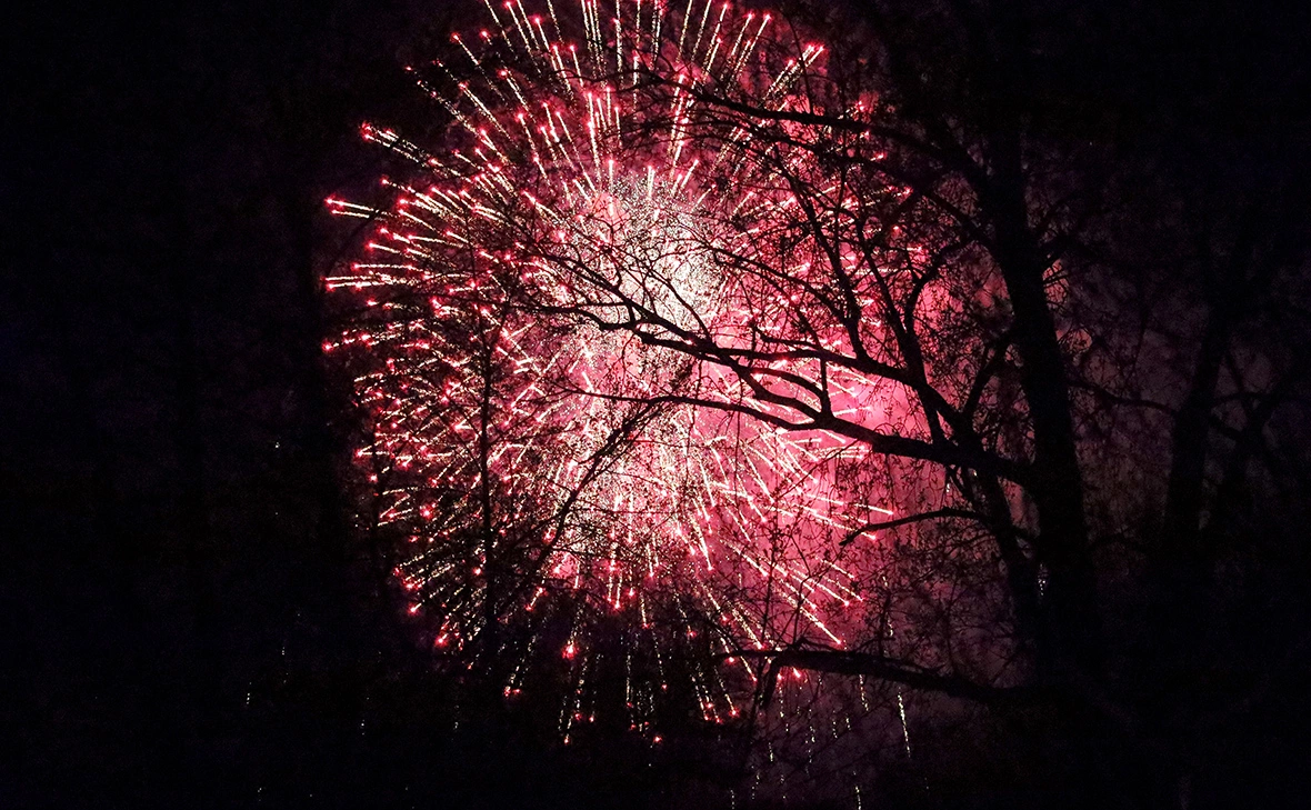 Елена Майорова / Global Look Press