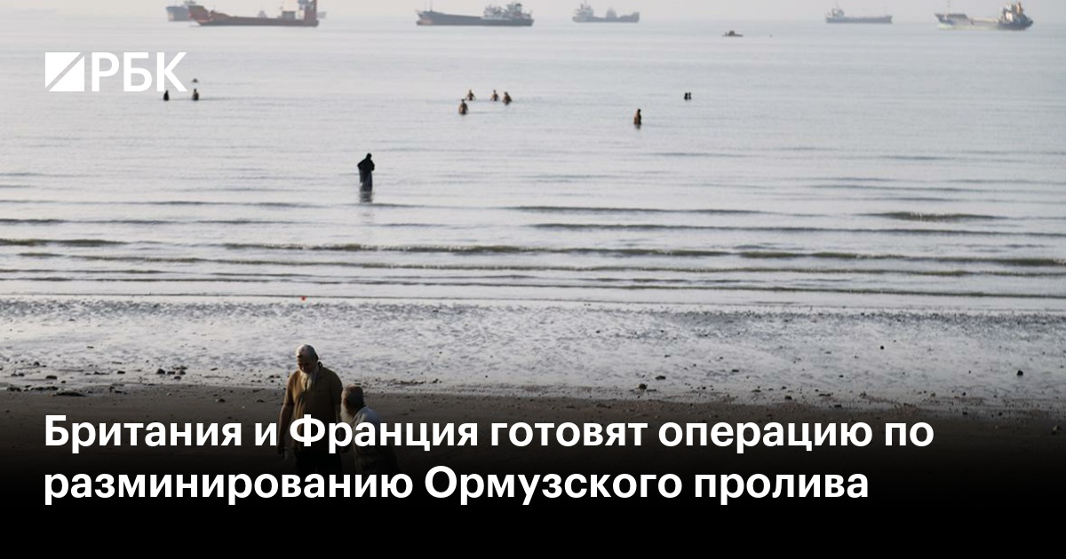 Британия и Франция готовят операцию по разминированию Ормузского пролива