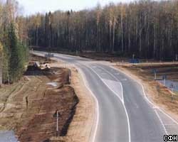 Платную автотрассу Петербург-Москва проложат через леса