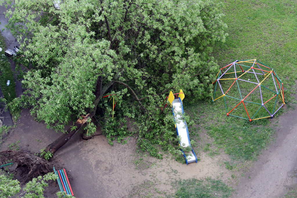 Последствия урагана в&nbsp;московском спальном районе Богородское
