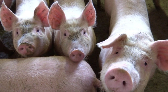 архив РБК Калининград