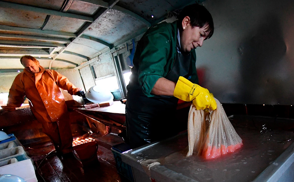 Виталий Аньков / РИА Новости