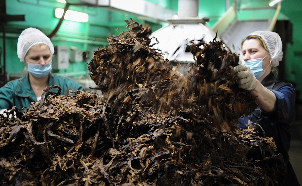 Александр Рюмин / ТАСС