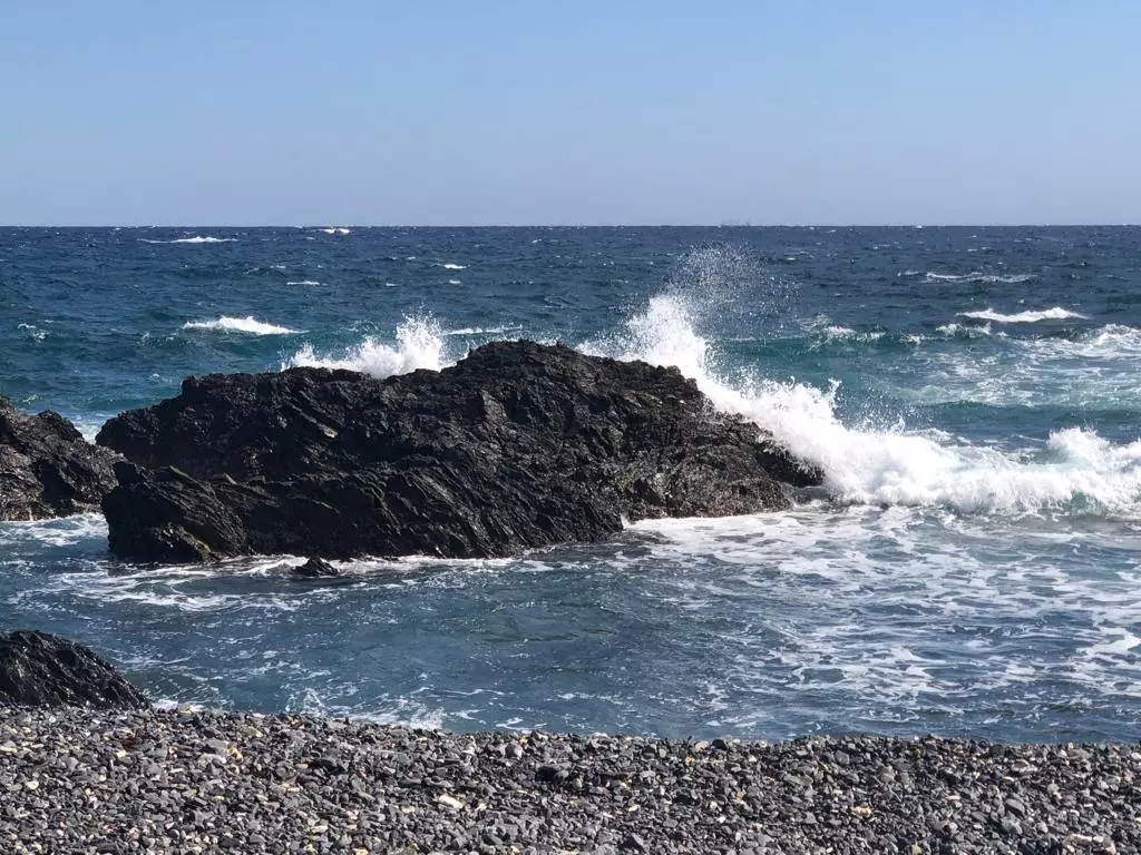 РБК Приморье