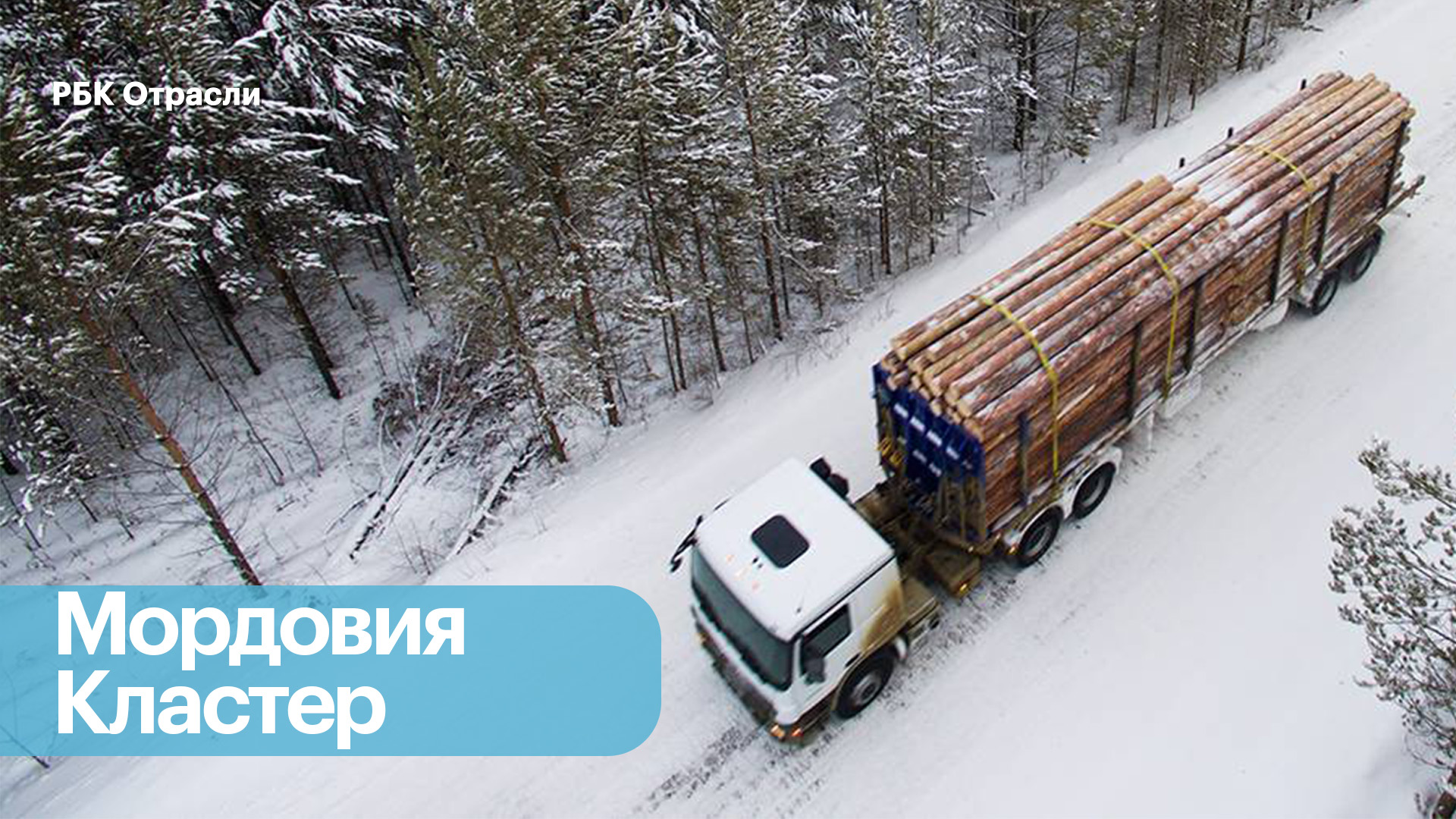 Лесопромышленный кластер в Республике Мордовия