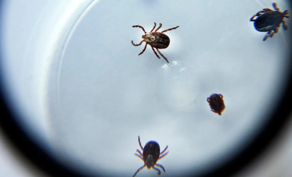  Валерий Матыцин / ТАСС