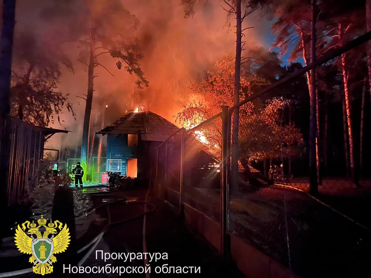 СК проверит обстоятельства пожара в новосибирском зоопарке