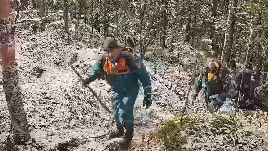 СК назвал четыре версии пропажи семьи в Красноярском крае