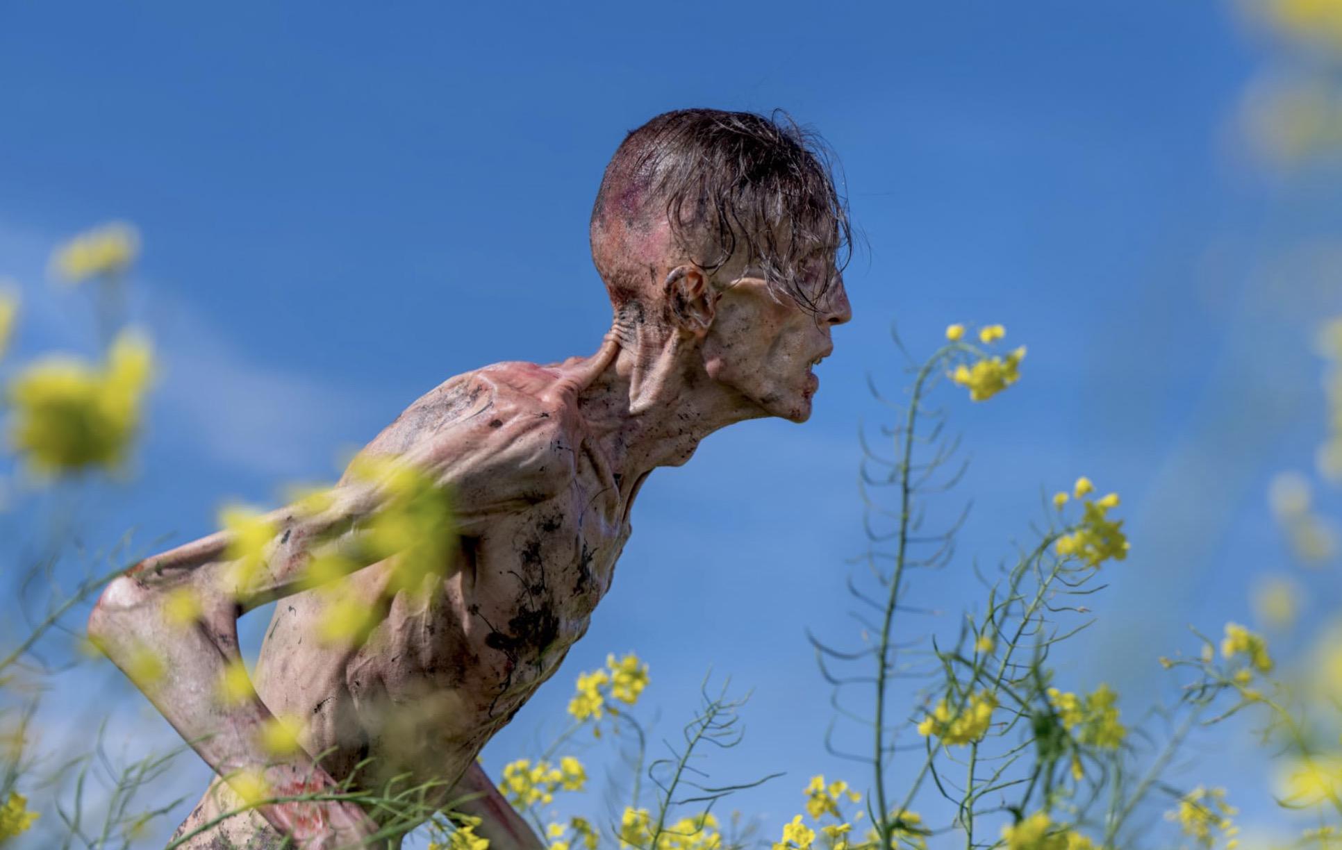 «28 лет спустя».«Визуальный код «28 лет спустя» существенно отличается от дешевого гранжа «28 дней спустя» — это подчеркнуто дорогое кино, которое, впрочем, все также эксплуатирует инновационный подход к построению кадра. Эффектные буллет-таймы, знакомые многим по фильмам «Матрица» сестер Вачовски, соседствуют с неопрятным монтажом, резко переходящим от глянцевого цифрового изображения к айфоновскому и обратно. Вернувшийся к работе оператора Энтони Дод Мэнтл чинно сменяет безмятежность зеленых холмов с провокационной телесностью — в международной версии фильма все зомби нагло размахивают обнаженными гениталиями и кровожадной беспощадностью. При этом в центре сюжета «28 лет спустя» по заветам другого, более популярного постапокалиптического зомби-хоррора «Одни из нас», оказывается разбитое детское сердце». Из рецензии кинокритика Оли Смолиной