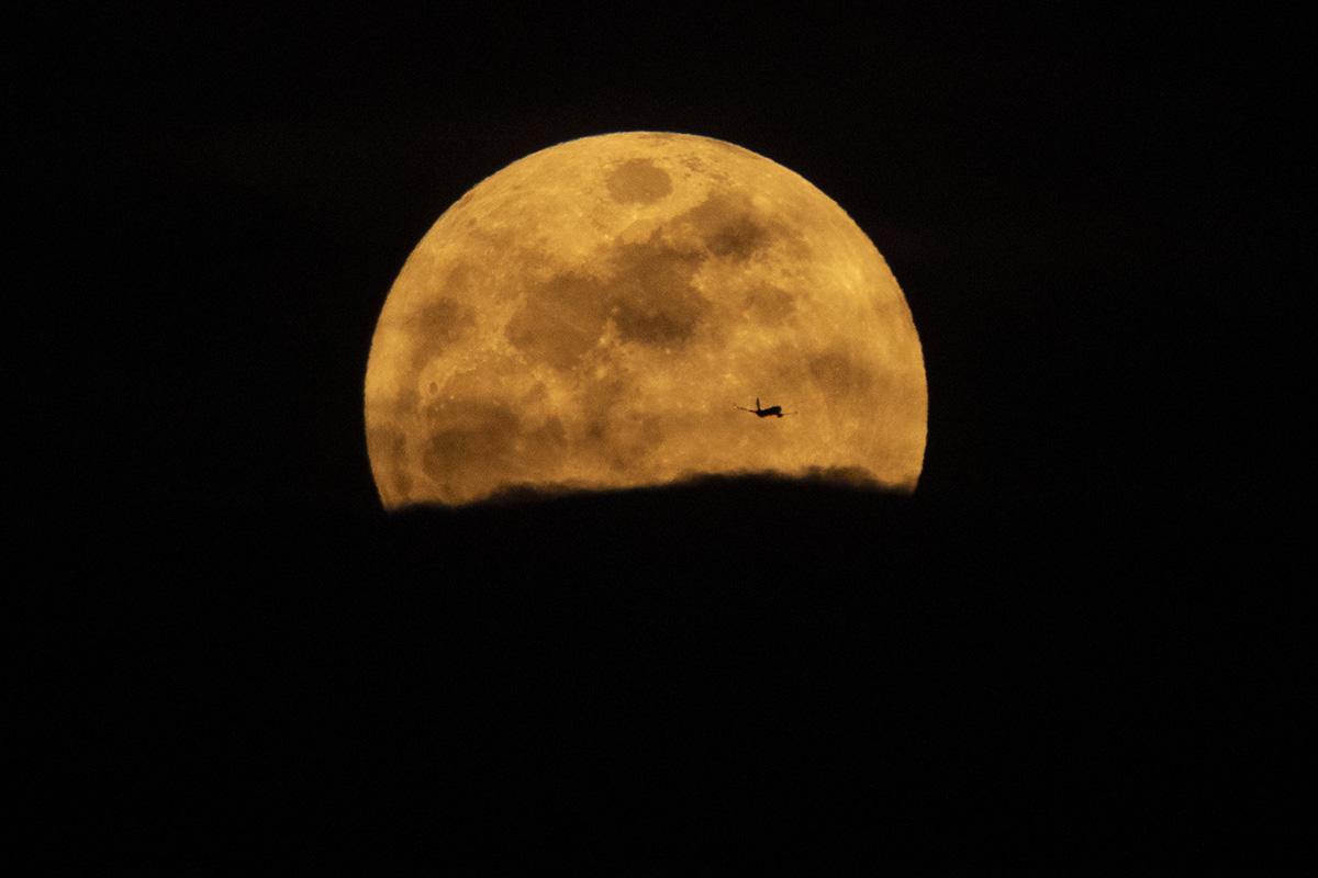 «Розовая Луна», Лос-Анджелес, Калифорния, США, 01 апреля 2026 года