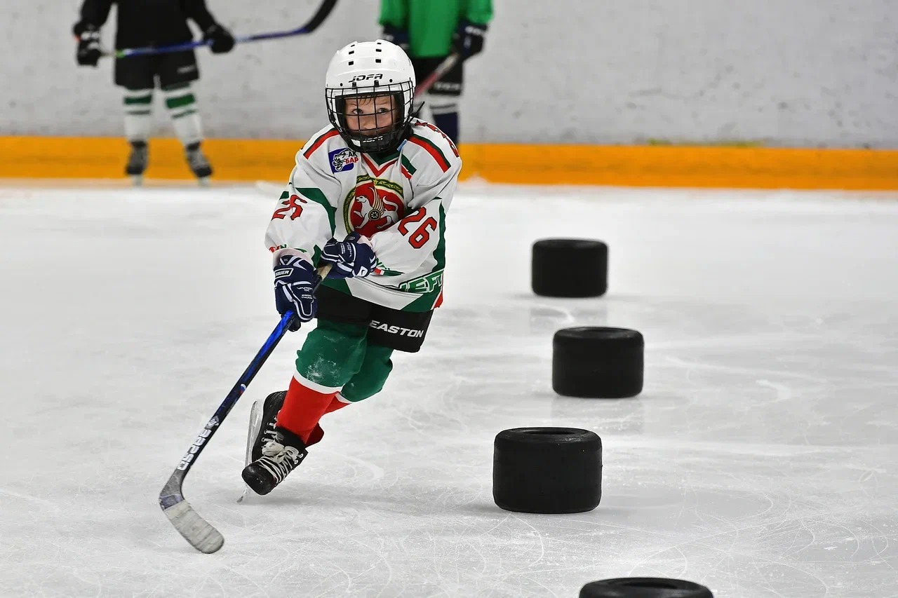 В Нижнекамске появится академия хоккея «Ак Барс» для детей