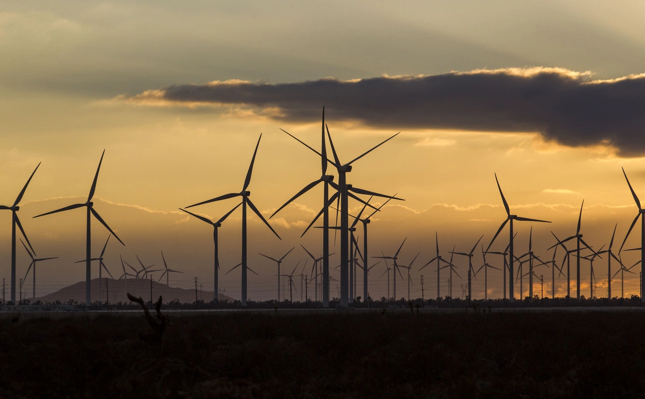 Ringo Chiu / ZUMAPRESS / Global Look Press