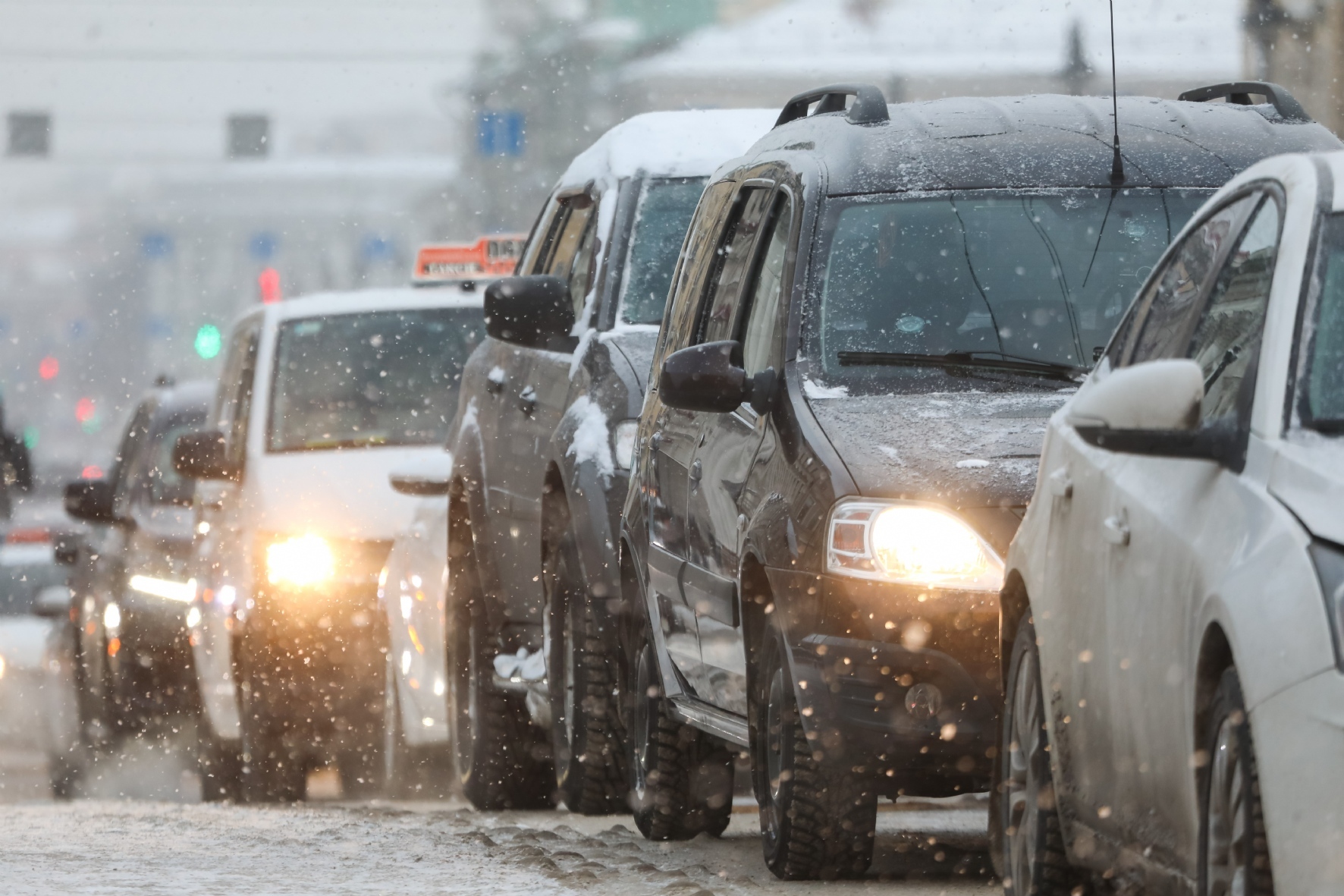 Фото: Пименов Роман/PhotoXPress.ru