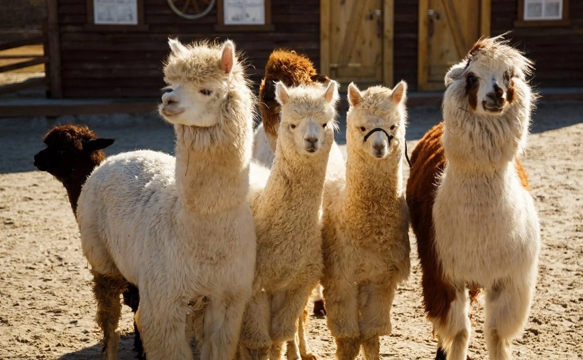 Парк «Белый колодец»