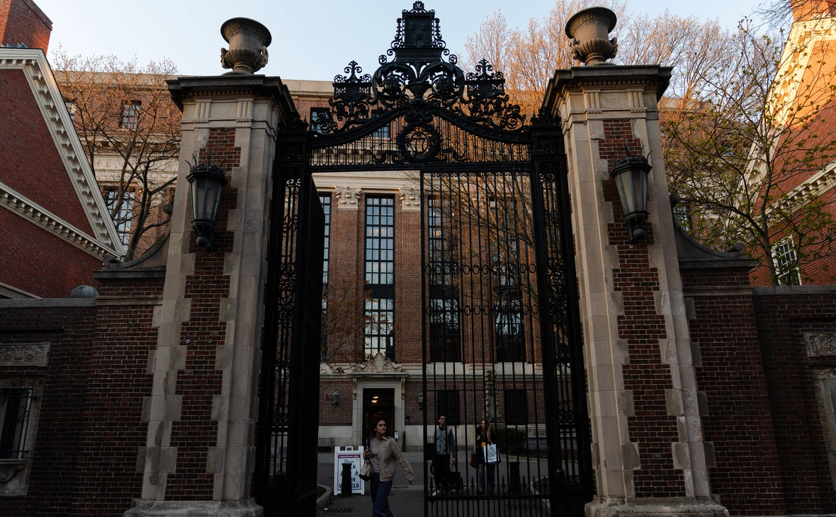 Sophie Park / Getty Images