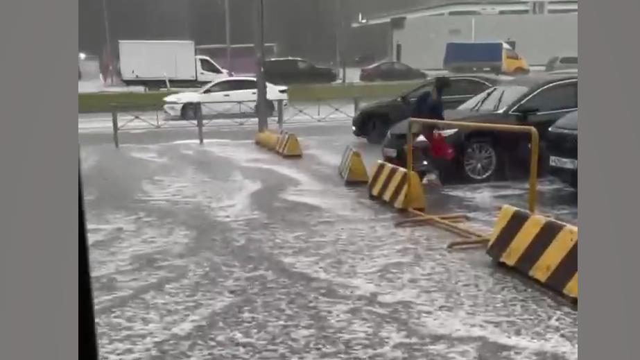 Вильфанд объяснил природу выпавшего в Петербурге «снега»