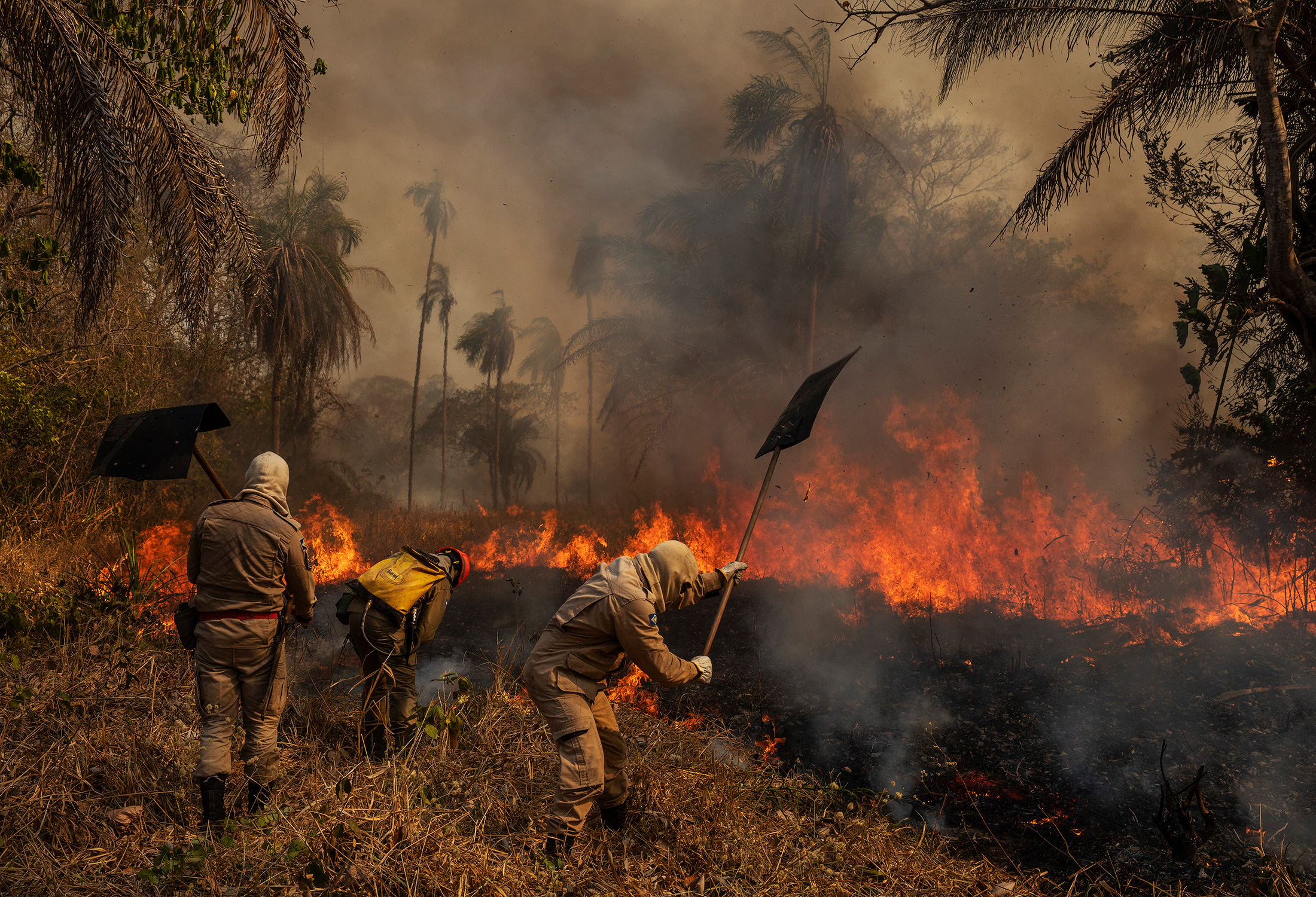 Автор:  Лалу де Альмейда

Фоторепортаж &laquo;Пантанал в огне&raquo;

Пантанал в Бразилии&nbsp;&mdash; крупнейшая в мире болотистая местность (до 160 тыс. кв. км). Она была охвачена пожарами в течение 2020 года. Причинами стали сильнейшая почти за 50 лет засуха и подсечно-огневое земледелие, распространившееся из-за ослабления природоохранного контроля в стране в последние годы