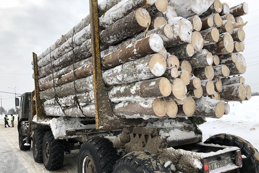 В Вологодской области заморожено 50% контрактов на экспорт леса