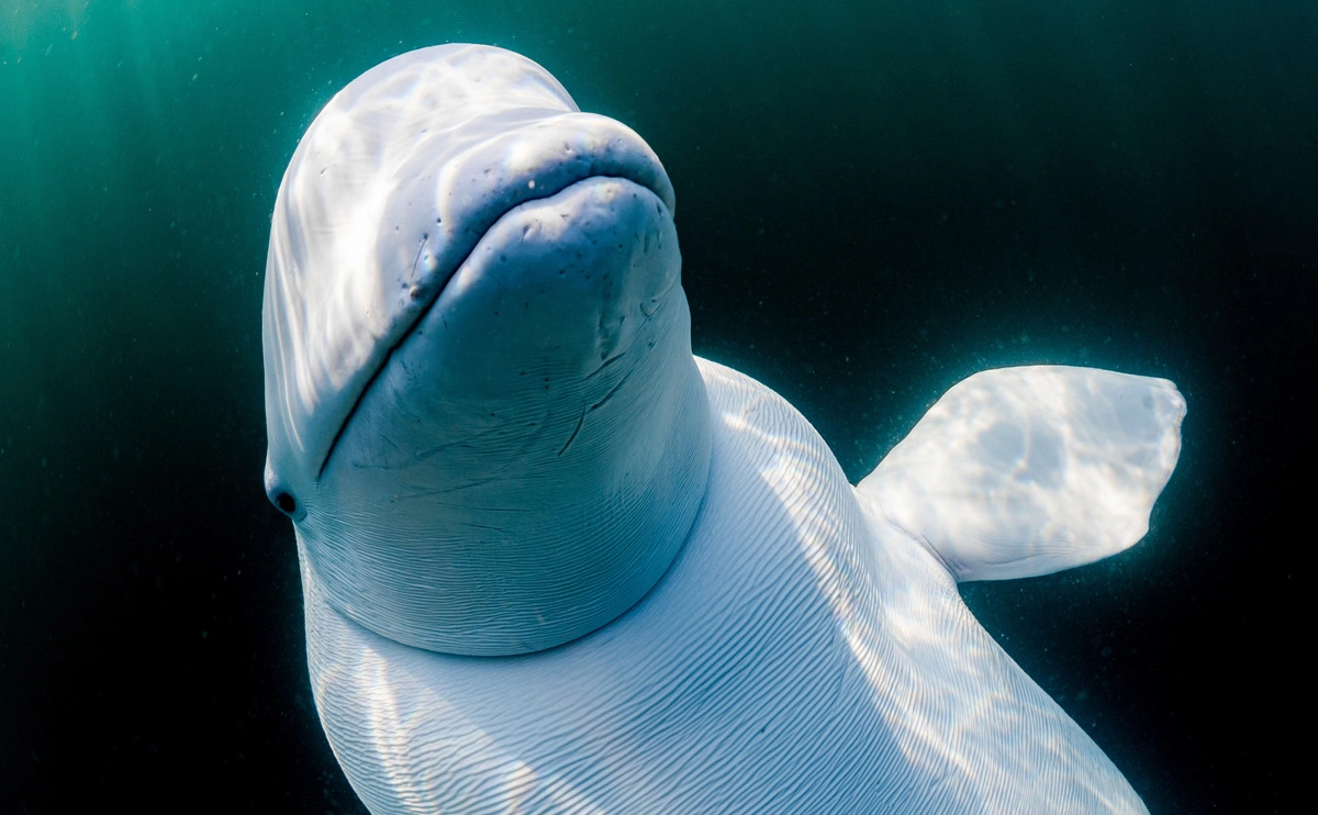 Юрий Смитюк / ТАСС