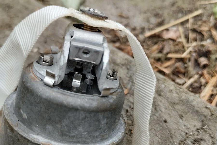 Фото: Prikhodko1970 / Telegram