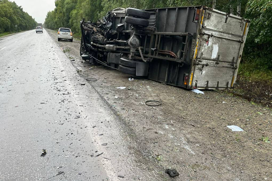 Фото: proc_phk / Telegram