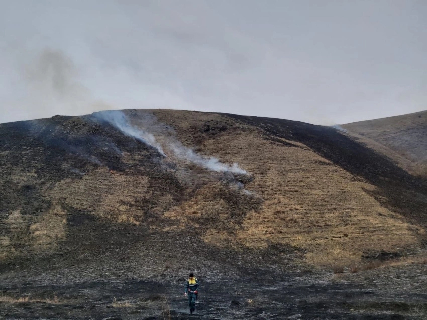 Минприроды Забайкальского края