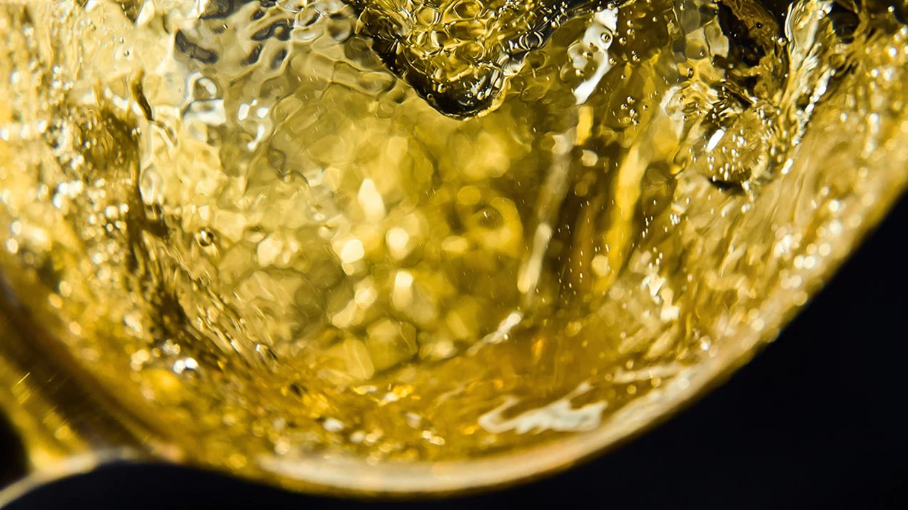 Дженсис Робинсон рассказала о своем первом вине