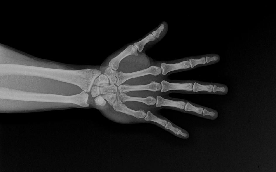 Фото: Shutterstock