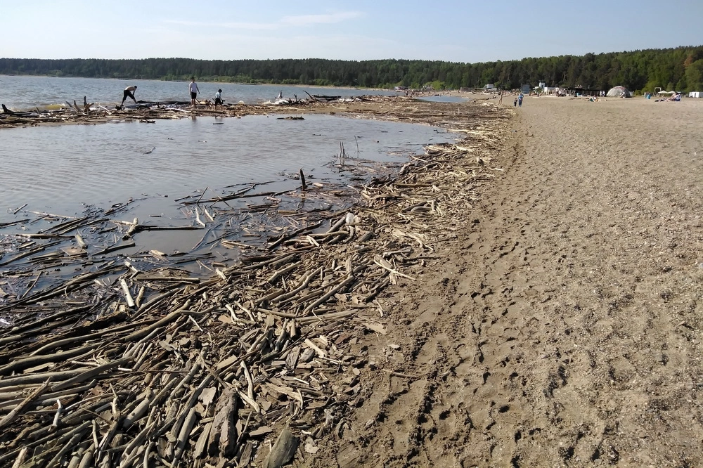 «Новосибирские новости»