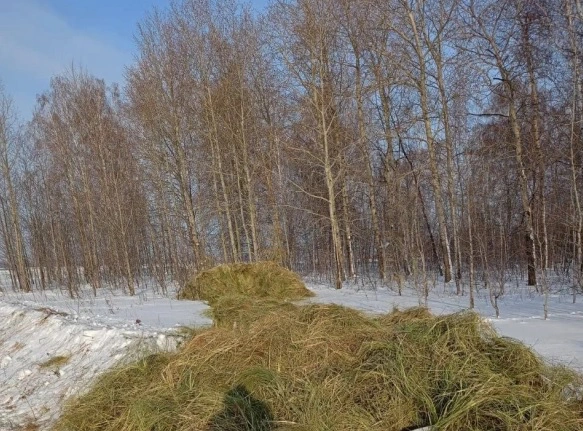 Минприроды Новосибирской области
