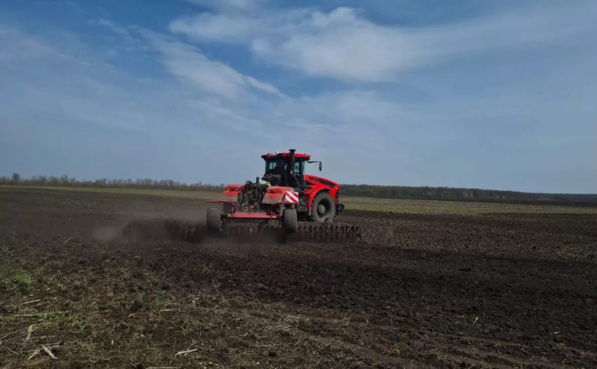 РБК Черноземье