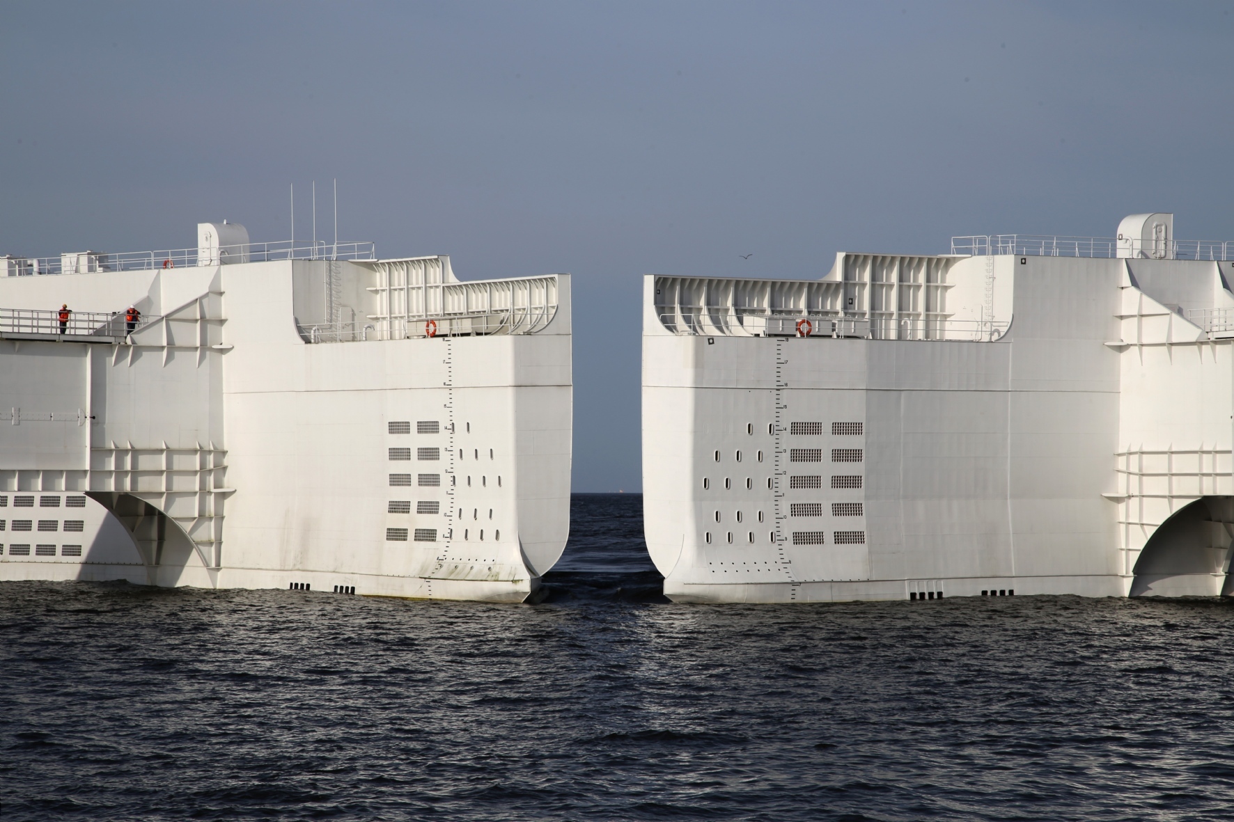 Фото: Каравашкин Павел/PhotoXPress.ru