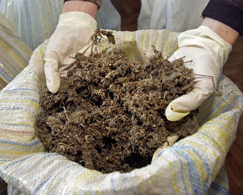 Фото: ИТАР-ТАСС