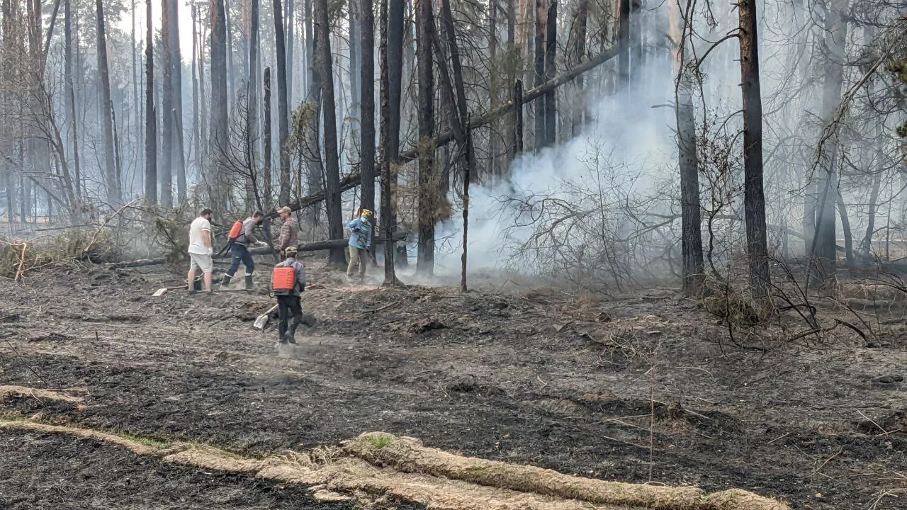 Юрий Норицын / РБК Тюмень