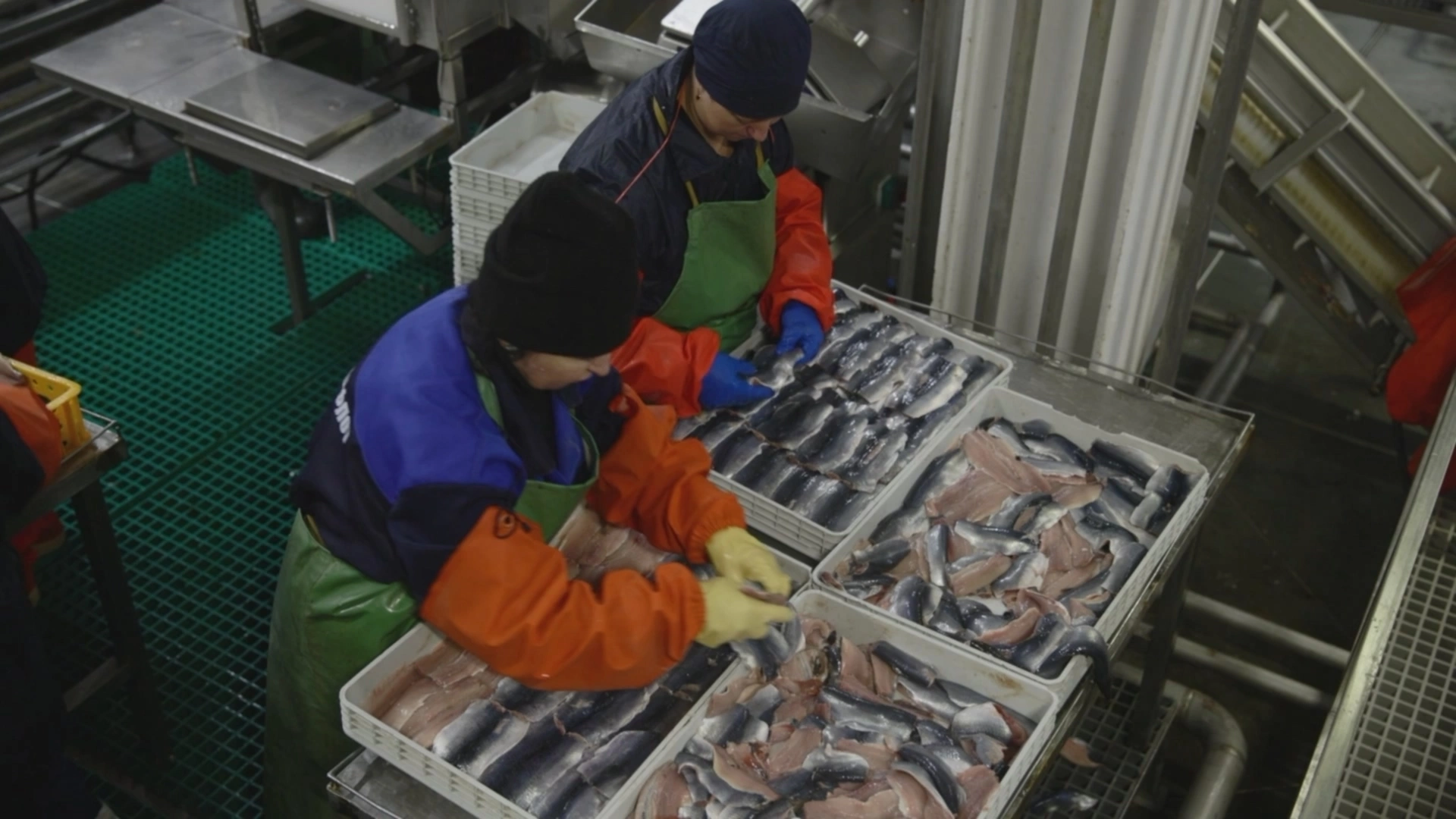 Правительство Камчатского края