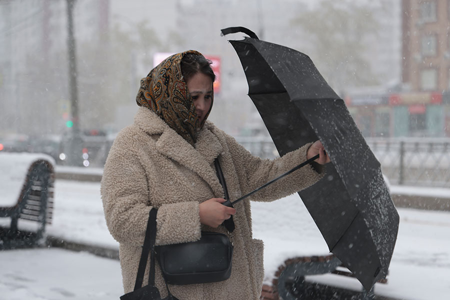 Михаил Гребенщиков / РБК