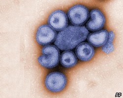 В Германии зафиксирован первый случай передачи вируса H1N1