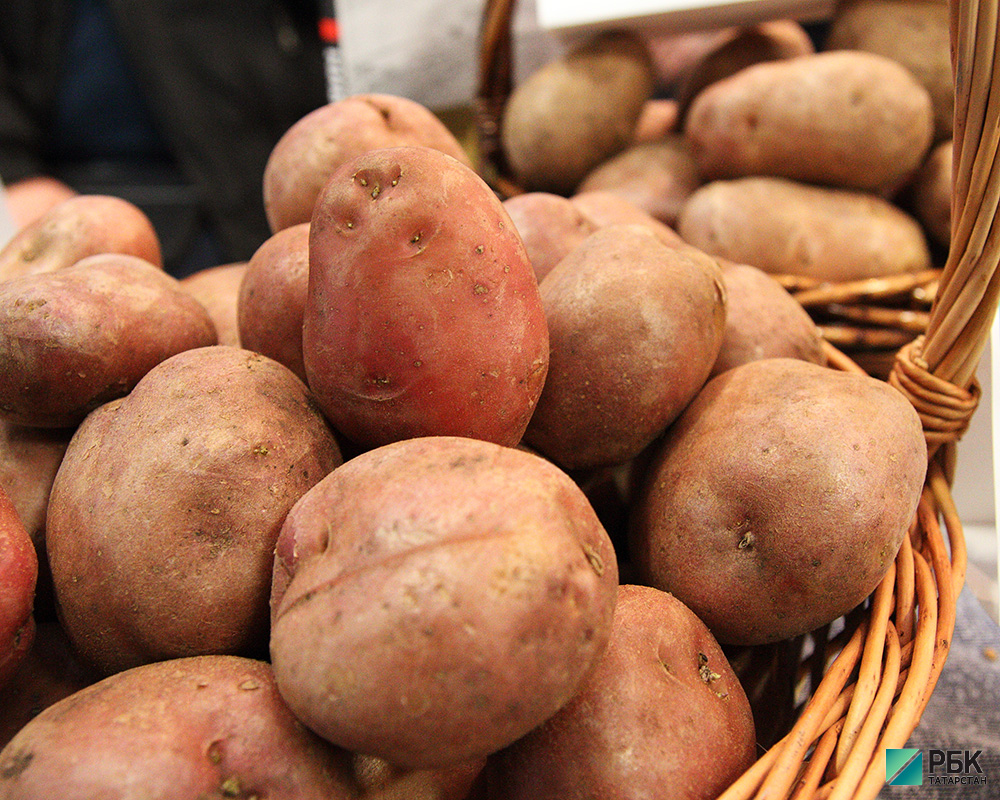 В Татарстане будут субсидировать производителей овощей и картофеля