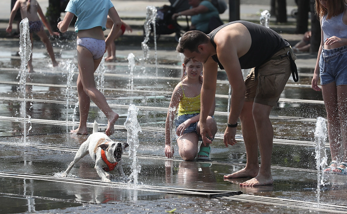 Андрей Любимов / РБК